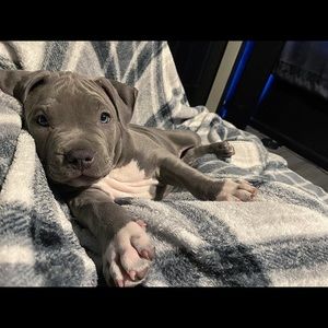 Meet your Posher, Miranda